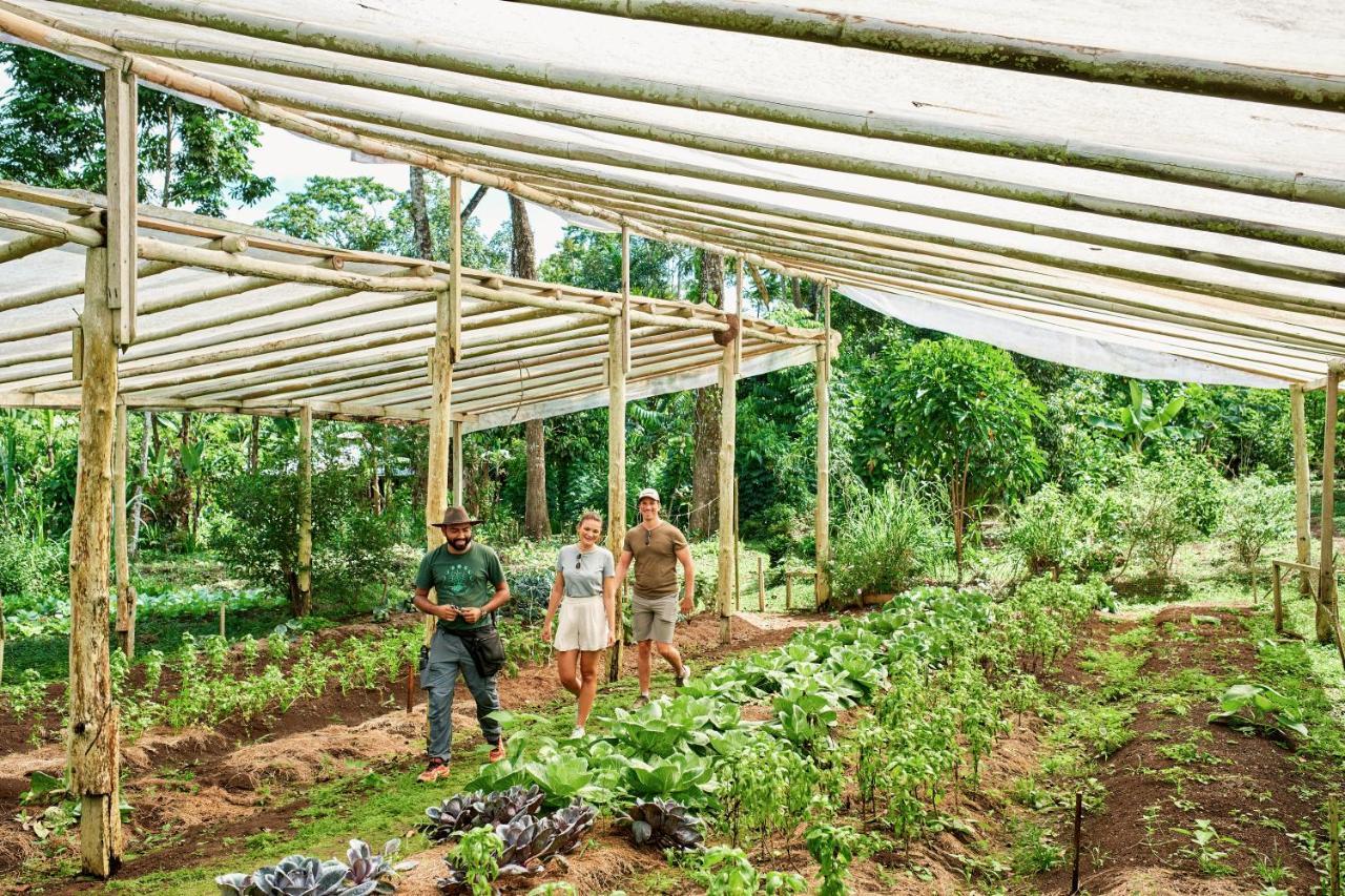 Finca Luna Nueva Lodge La Fortuna Exterior photo